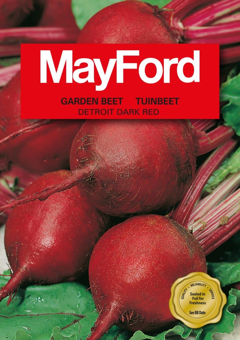 Detroit Dark Red