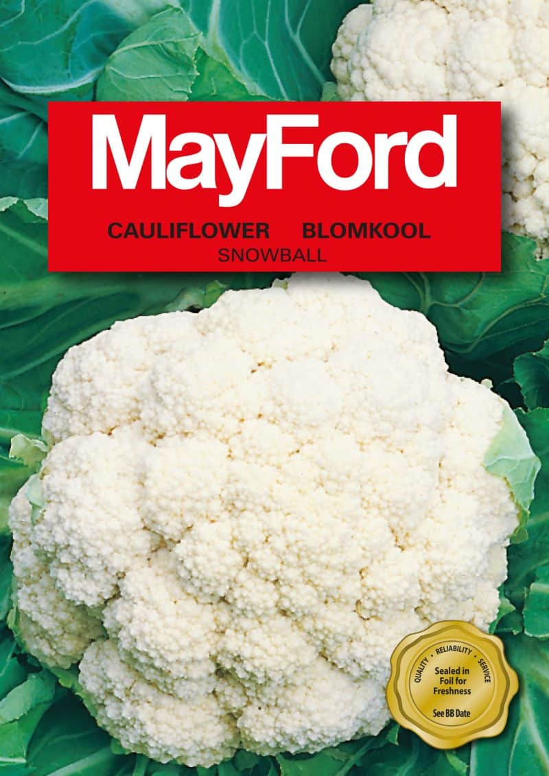 Snowball