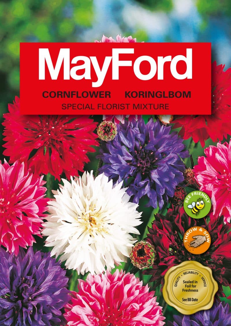 Special Florist Mix
