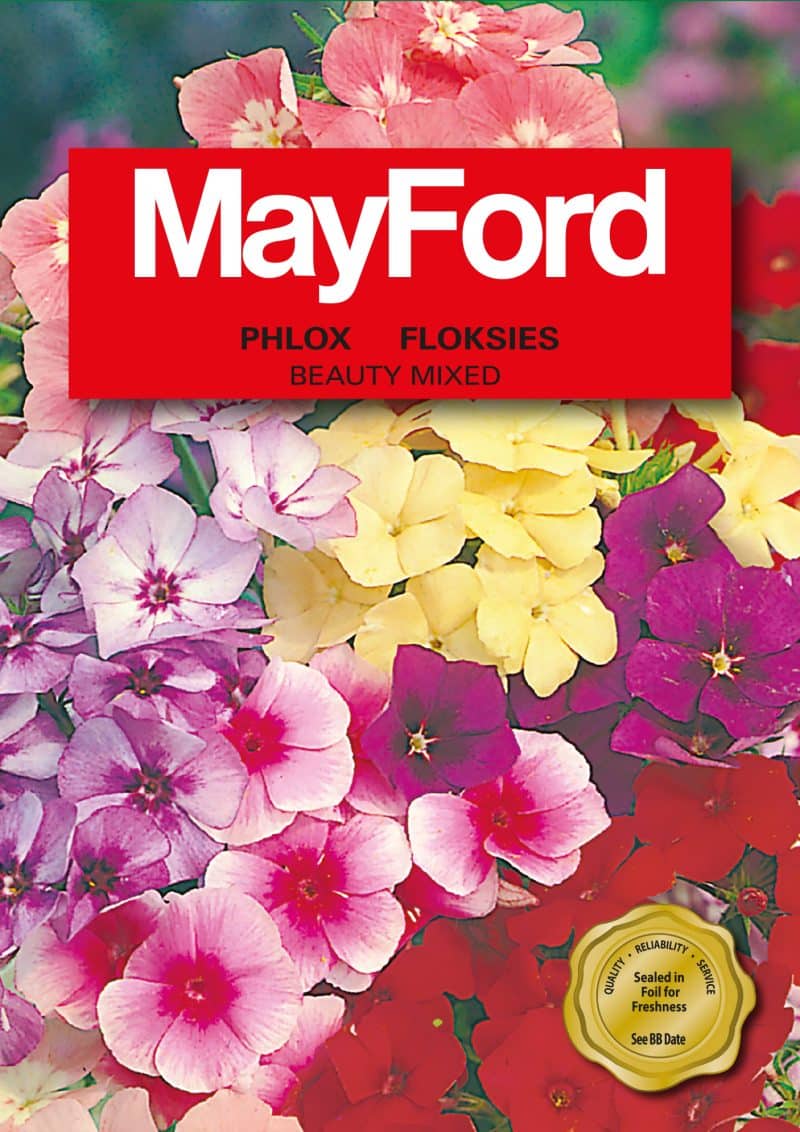 Beauty Mixed Phlox