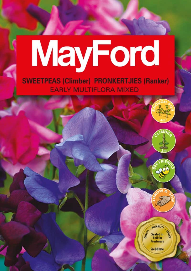 Early Multiflora Mixed