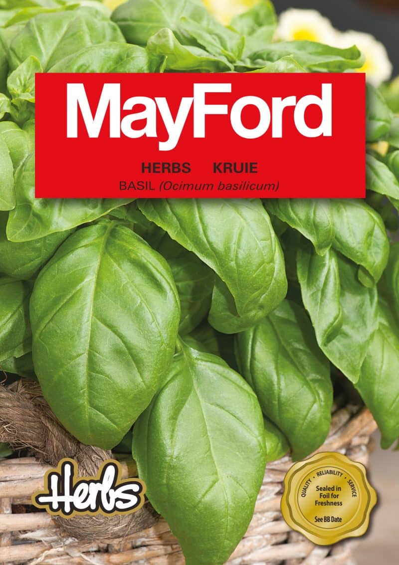 Basil