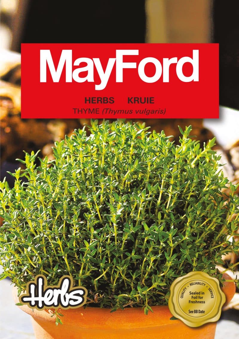 Thyme