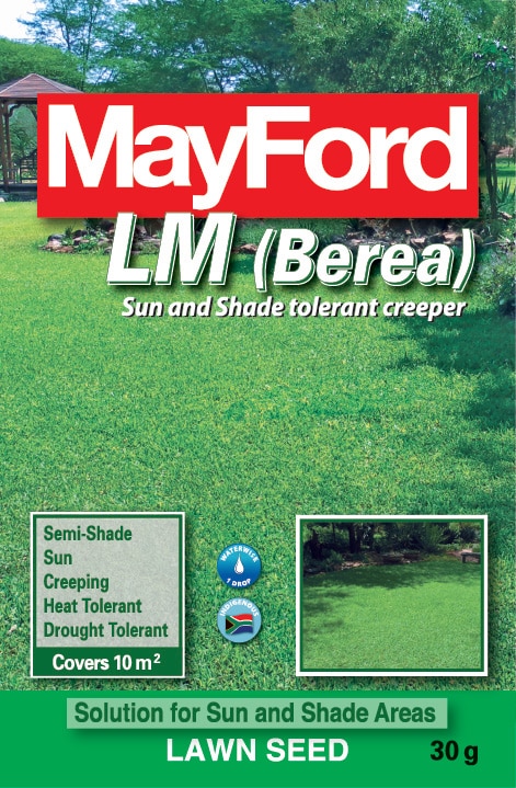 LM (Berea)