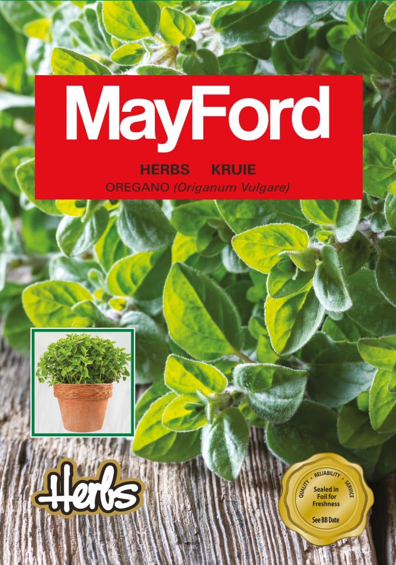 Oregano