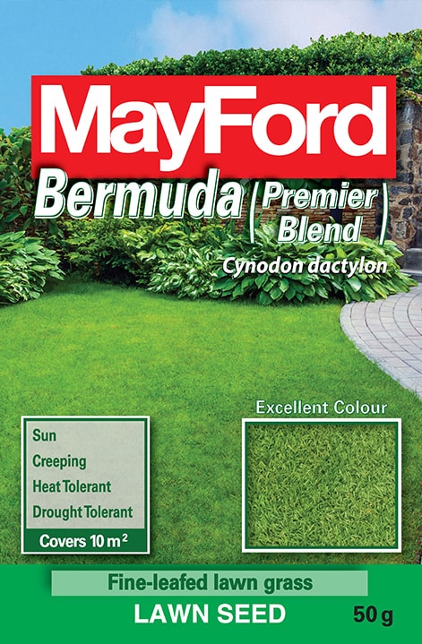 Bermuda (Premier Blend)