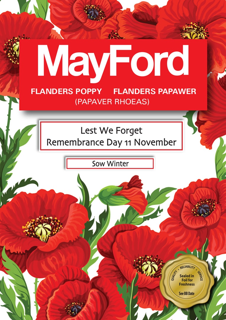 Flanders Poppy