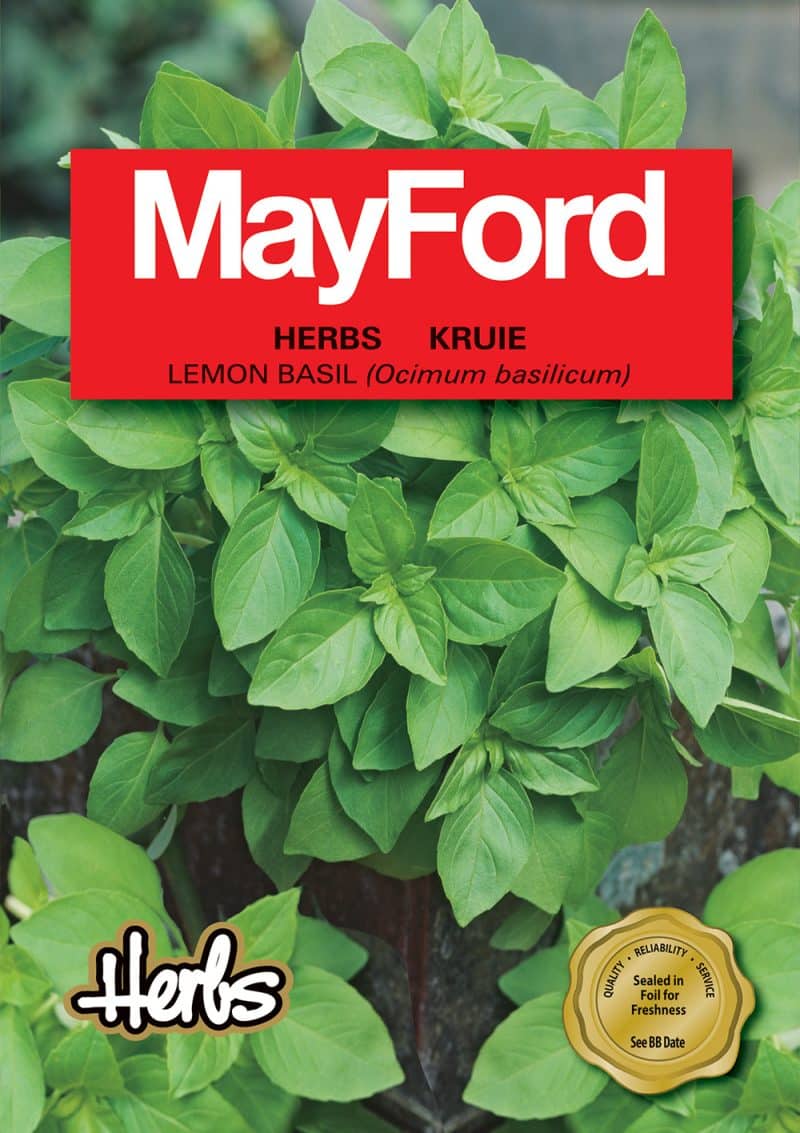Lemon Basil